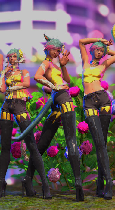 All Versions of Arya